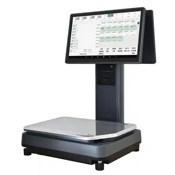 Cân điện tử in bill AI RM-5800 E