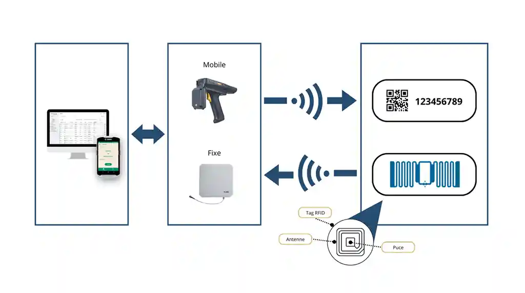 Cấu tạo hệ thống RFID gồm thẻ, đầu đọc và phần mềm