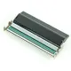 Đầu In MÁY IN MÃ VẠCH ZEBRA ZT231 203dpi