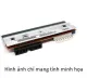 Đầu In Máy In Mã Vạch Zebra 105SL Plus 203dpi